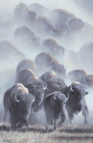 buffalo stampede free download.